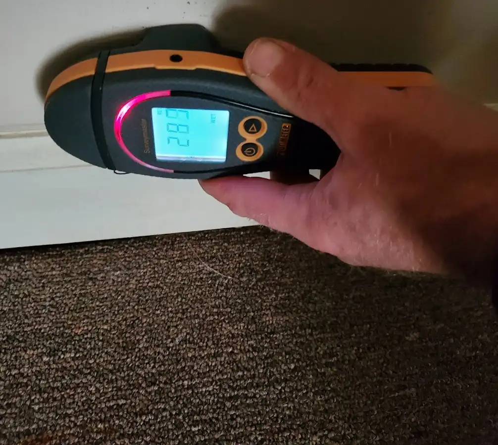 Moisture detection at baseboard during Sewage Cleanup & Sanitation in Powdersville